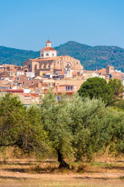 Mont-roig del Camp ve Kilisesi St. Miguel, Tarragona, Catalunya, İspanya görünümünü. Metin için yer kopyalayın. Dikey.