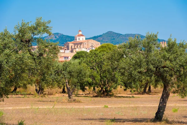 Widok na Mont-roig del Camp i Kościół St. Miguel, Tarragona, Katalonia, Hiszpania. Kopiować miejsca na tekst. — Zdjęcie stockowe