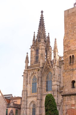 Barcelona, İspanya - 16 Şubat 2017: Kutsal haç ve St. Eulalia katedral. Metin için yer kopyalayın. Dikey.