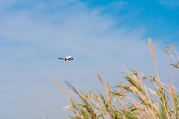 BARCELONA, SPAIN - AUGUST 20, 2016: Aircraft takes off over the meadow. Copy space for text. — Stock Photo, Image