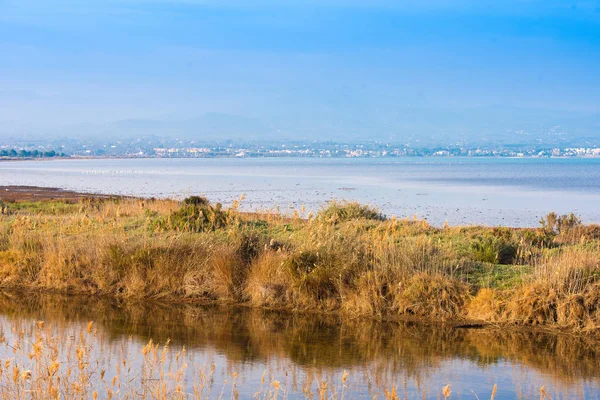 Paisagem rio Ebro Delta em Espanha, Tarragona, Catalunha. Espaço de cópia para texto . — Fotografia de Stock