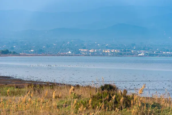 Paisagem rio Ebro Delta em Espanha, Tarragona, Catalunha. Espaço de cópia para texto . — Fotografia de Stock