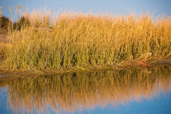 nehir Tarragona, İspanya Catalunya deltasında Ebro manzara. Metin için yer kopyalayın.