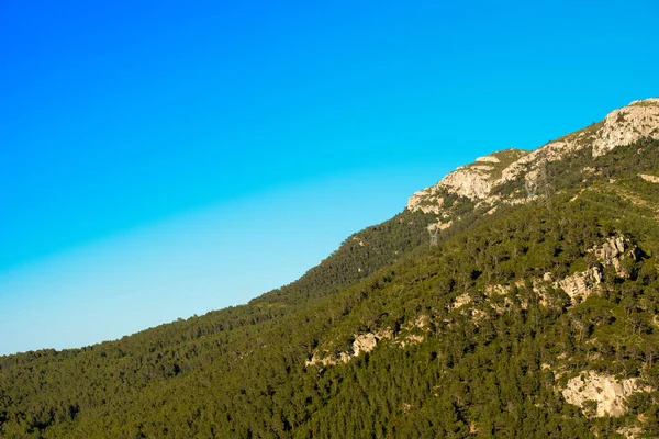 緑の木々 と青い澄んだ空、タラゴナ、カタルーニャ、スペインの山。コピーのテキストのための領域. — ストック写真
