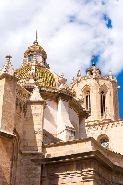 晴れた日にタラゴナ, スペイン - 2017 年 5 月 1 日: タラゴナ大聖堂 (カトリック大聖堂)。垂直方向. — ストック写真