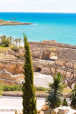Tarragona, İspanya - 1, nmay 2017: Antik Roma amfi tiyatro görünümünü, selvi ön planda. Uzay kopyalayın. Dikey.