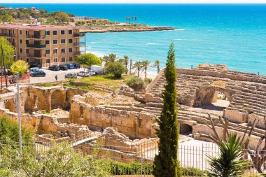 Tarragona, İspanya - 1 Mayıs 2017: Antik Roma amfi tiyatro, selvi ön planda bir bakış. Metin için yer kopyalayın.