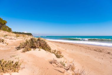 Kumlu plaj Playa yırtılmış. Metin için yer kopyalayın.