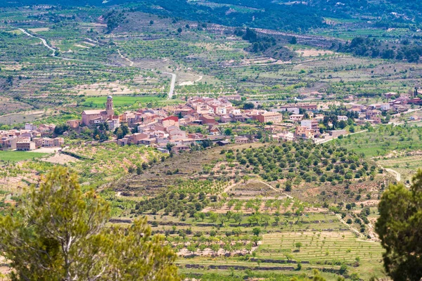 Orman ve şehir İspanya Katalonya eyaletinin görünümünü. Üstten Görünüm.