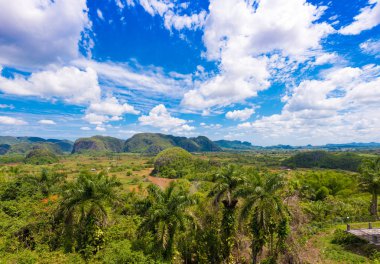 Vinales Vadisi, Pinar del Rio, Küba görünümünü. Metin için yer kopyalayın.        