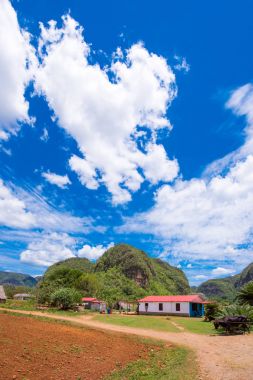 Los Acuaticos, Vinales, Pinar del Rio, Küba'nın görünümü. Metin için yer kopyalayın.                    