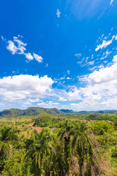 Vista del valle de Vinales, Pinar del Río, Cuba. Copia espacio para texto. Vertical . — Foto de Stock