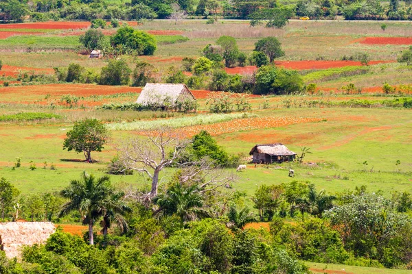 Vista de Los Acuaticos, Vinales, Pinar del Río, Cuba. Copiar espacio para texto . — Foto de Stock