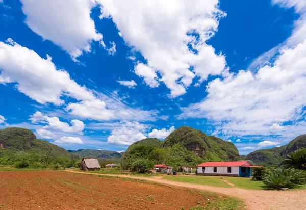 Vista de Los Acuaticos, Vinales, Pinar del Río, Cuba. Copiar espacio para texto . — Foto de Stock