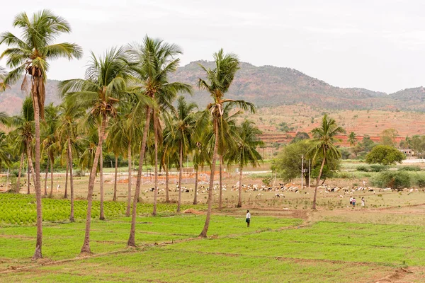 Una vista del paisaje rural indio, Puttaparthi, Andhra Pradesh, India. Copiar espacio para texto . — Foto de Stock