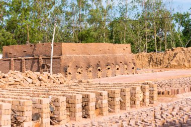 Hint Tuğla imalatı. Tuğla kurur, Puttaparthi, Andhra Pradesh, Hindistan. Metin için yer kopyalayın.                             