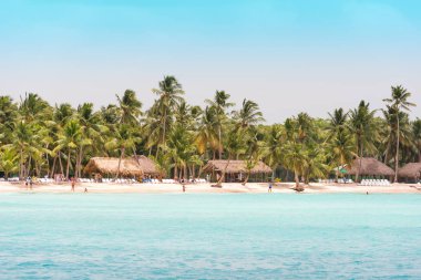 Ada Saona kumlu plaj Saona, Dominik Cumhuriyeti - 25 Mayıs 2017: görünümü. Metin için yer kopyalayın.