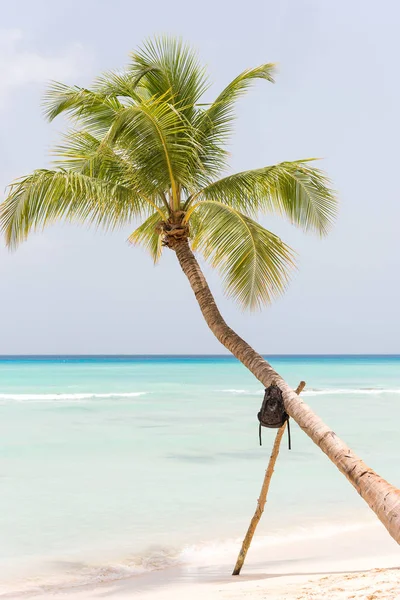 Saona 島、イオニア、ドミニカ共和国、ロンリーはビーチにヤシします。テキストのためのスペースにコピーします。垂直方向. — ストック写真