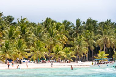 Ada Saona kumlu plaj Saona, Dominik Cumhuriyeti - 25 Mayıs 2017: görünümü. Metin için yer kopyalayın.