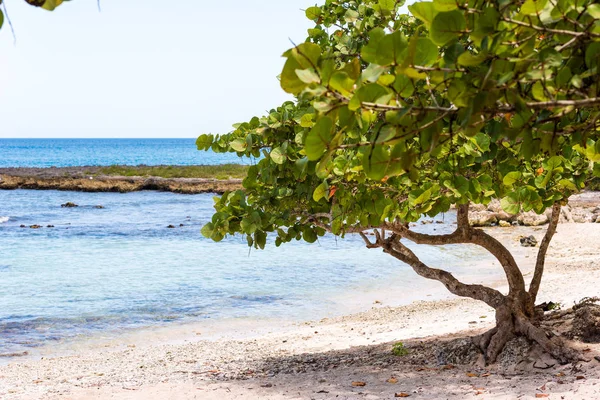 Zandstrand in Bayahibe, La Altagracia, Dominicaanse Republiek. Ruimte voor tekst kopiëren. — Stockfoto