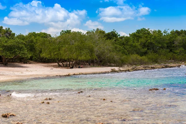 Rotsachtig strand in Bayahibe, La Altagracia, Dominicaanse Republiek. Ruimte voor tekst kopiëren. — Stockfoto