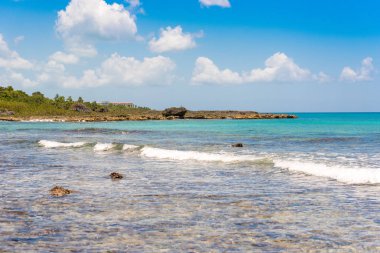 Bayahibe, La Altagracia, Dominik Cumhuriyeti kayalık Beach'te. Metin için yer kopyalayın.