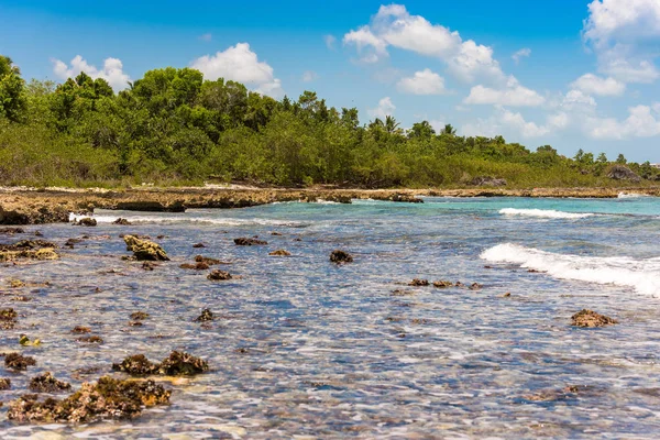 Bayahibe, La Altagracia, Dominik Cumhuriyeti kayalık Beach'te. Metin için yer kopyalayın.