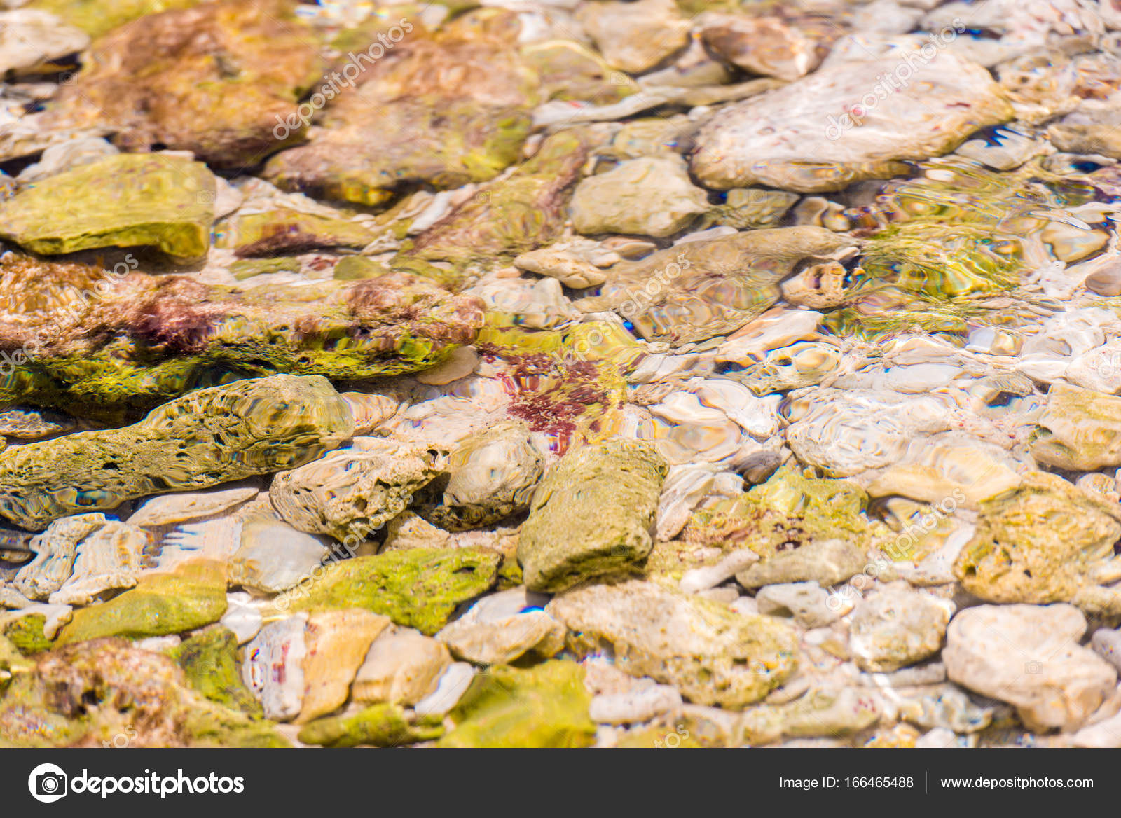 Seabed Through Crystal Clear Water In Bayahibe La Altagracia