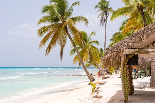 Саона, Домініканська Республіка - 25 травня 2017: погляд піщаного пляжу острова Саона. Копія простір для тексту. — стокове фото