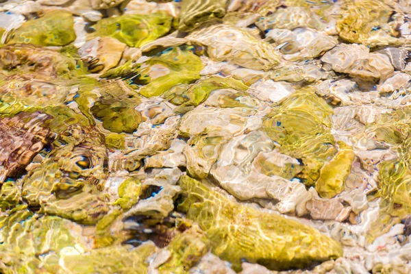 Lecho marino a través de aguas cristalinas en Bayahibe, La Altagracia, República Dominicana. Primer plano . —  Fotos de Stock