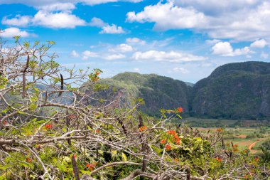 Vinales Vadisi, Pinar del Rio, Küba görünümünü. Metin için yer kopyalayın.