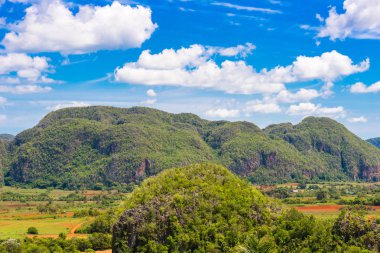 Vinales Vadisi, Pinar del Rio, Küba görünümünü. Metin için yer kopyalayın.