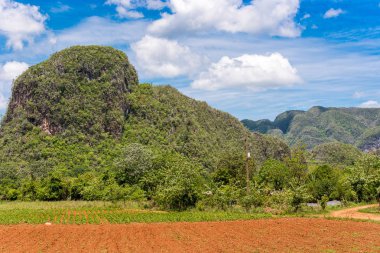 Vinales Vadisi, Pinar del Rio, Küba görünümünü. Metin için yer kopyalayın.