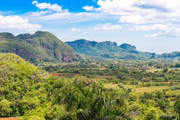 Vinales Vadisi, Pinar del Rio, Küba görünümünü. Metin için yer kopyalayın.