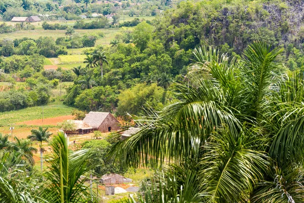 Vista del valle de Vinales, Pinar del Río, Cuba. Copiar espacio para texto . — Foto de Stock