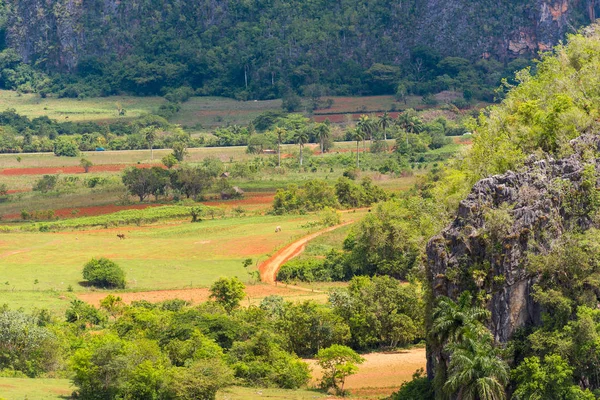 Vista del valle de Vinales, Pinar del Río, Cuba. Copiar espacio para texto . — Foto de Stock