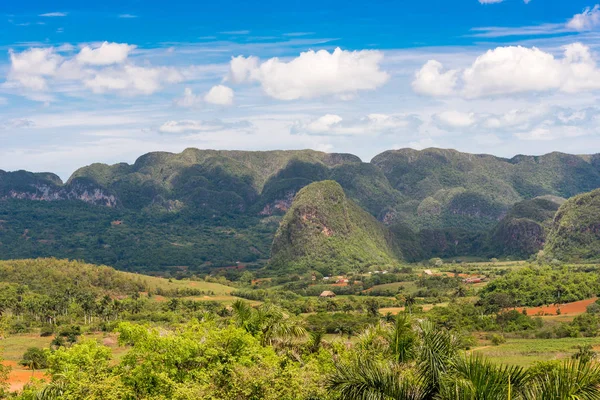 Vinales Vadisi, Pinar del Rio, Küba görünümünü. Metin için yer kopyalayın.