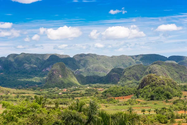 Vinales Vadisi, Pinar del Rio, Küba görünümünü. Metin için yer kopyalayın.