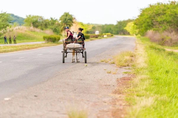 Viñales, Cuba - 13 mei 2017: Een kar met een paard op de weg. Ruimte voor tekst kopiëren. — Stockfoto
