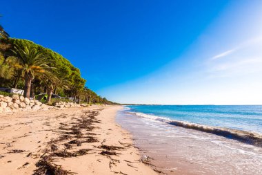 Kum plaj Miami Platja, Tarragona, Catalunya, İspanya. Metin için yer kopyalayın.