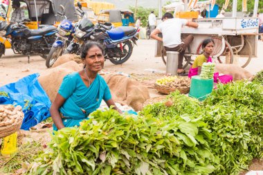 Puttaparthi, Andhra Pradesh - Hindistan - 22 Temmuz 2017: Bir kadın otlar yerel pazarda satıyor. Yakın çekim.