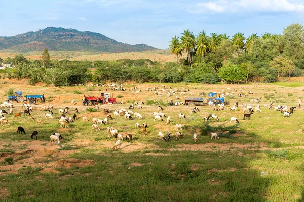 Vista del paisaje rural indio, Puttaparthi, Andhra Pradesh, India. Copiar espacio para texto . — Foto de Stock