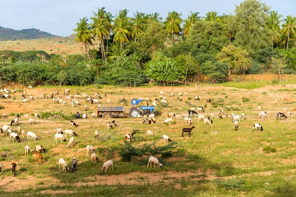 Hint kırsal manzara, Puttaparthi, Andhra Pradesh, Hindistan görünümünü. Metin için yer kopyalayın.