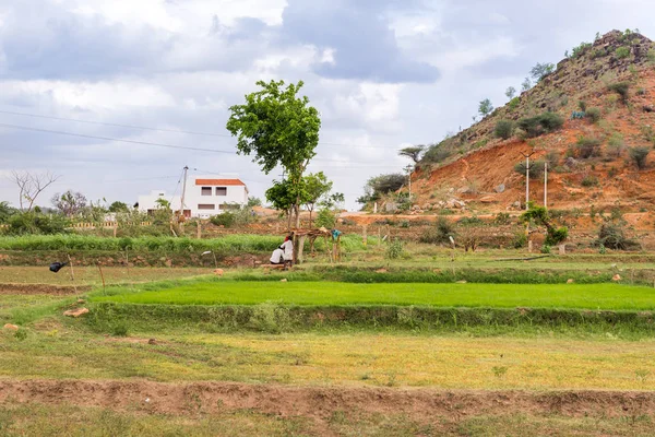 Vista del paisaje rural indio, Puttaparthi, Andhra Pradesh, India. Copiar espacio para texto . — Foto de Stock