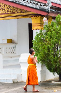 Louangphabang, Laos - 11 Ocak 2017: Temple yakınındaki küçük keşiş. Metin için yer kopyalayın. Dikey.