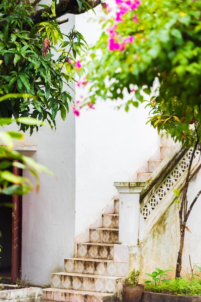 Louangphabang, Laos Wat Sensoukaram Tapınağı'nın avlusunda merdiven. Yakın çekim. Dikey.
