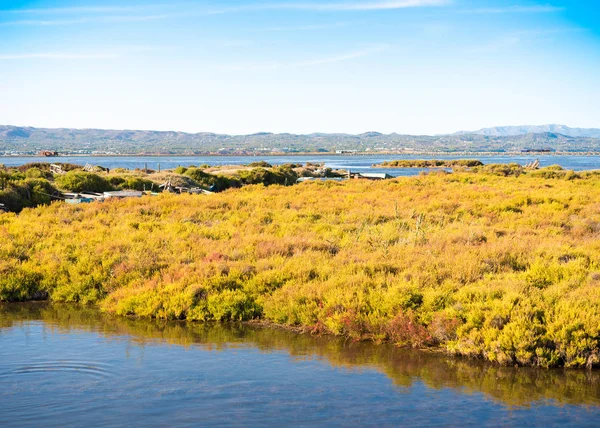 Ebro Delta Haliç ve sulak alanlar, Tarragona, Catalunya, İspanya. Metin için yer kopyalayın.