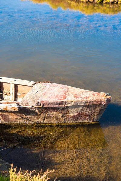 Ebro Delta Haliç ve sulak alanlar, Tarragona, Catalunya, İspanya. Metin için yer kopyalayın. Dikey.