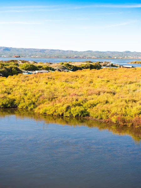 Ebro Delta Haliç ve sulak alanlar, Tarragona, Catalunya, İspanya. Metin için yer kopyalayın. Dikey.
