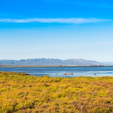 Ebro Delta Haliç ve sulak alanlar, Tarragona, Catalunya, İspanya. Metin için yer kopyalayın.